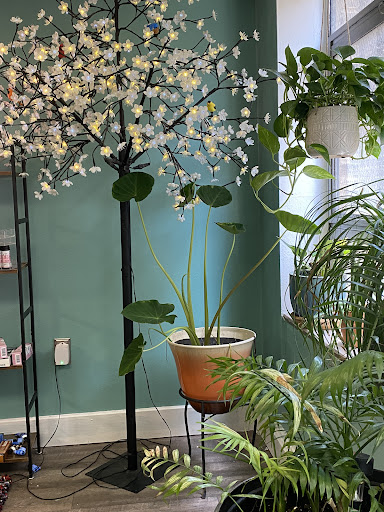 Salon on Second - Visual