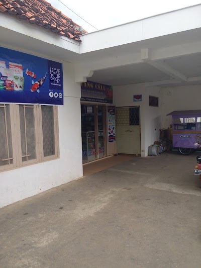 Photos of Bintang Aquatic