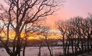 Photo n°5 de Ar Gwelann Équitation à Surzur (Centre équestre)