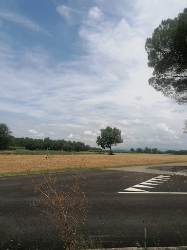 PromoTurismoFVG InfoPoint di Cormons - Thumbnail