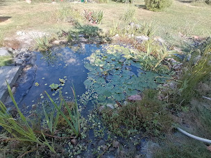 Photo n°10 de Les Jardins D'helya à Bort-l'Étang (Jardinier)