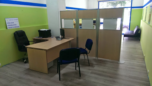 Pan Services - Visual