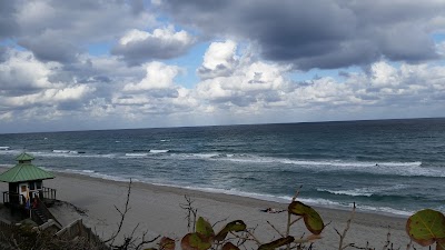 Photos of Gumbo Limbo Nature Center
