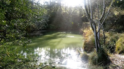 Tyee Campground