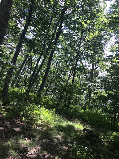 Lovingston Springs Trailhead