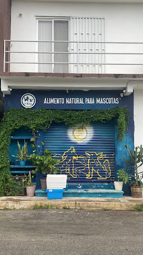 PIXAN COMIDA ANCESTRAL