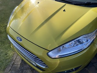 Shepley Motors