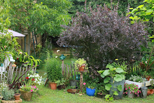 Photo n°7 de Gîte Les Truffières à Trémolat (Maison de vacances)