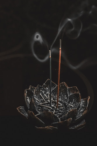 Massages énergétiques • Shiatsu, Reiki • Équin, bovin, humain