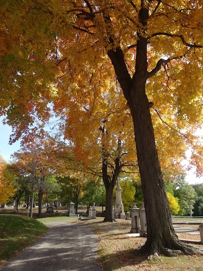 Photos of Elmwood Cemetery
