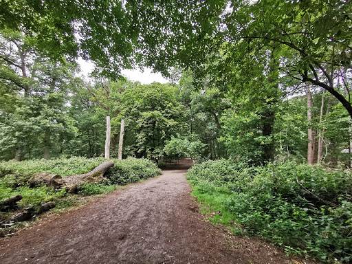 Wandelbos Groenendaal Gallery - Netherlands