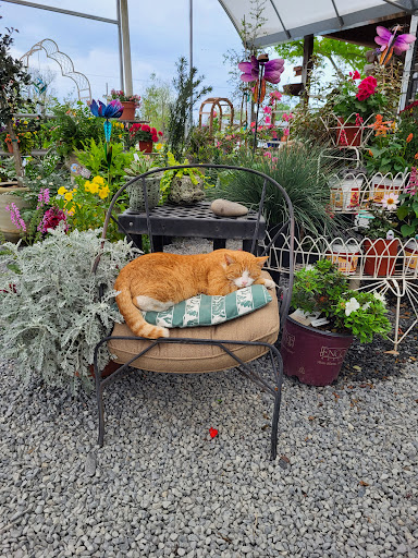 Lex Plant Farm & Garden Center - Thumbnail