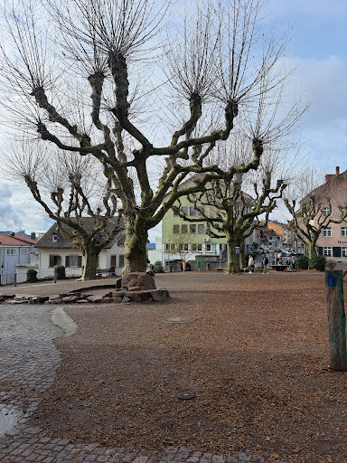 Kosmetikstudio hautconcepte -Raum für gesunde Haut und Wohlbefinden - Thumbnail