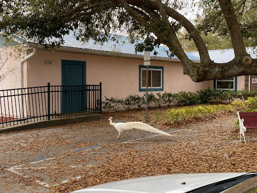 Montessori School of East Orlando - Thumbnail
