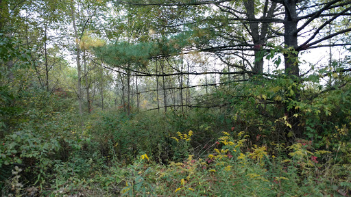 Gleneagle Park