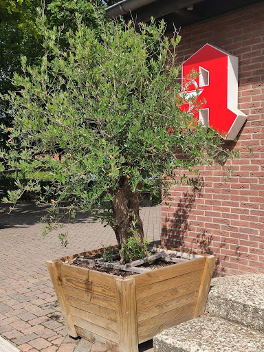 Oliven Apotheke Ehlershausen - Thumbnail