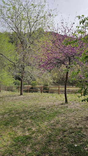 Passeig de Vallibona - Thumbnail