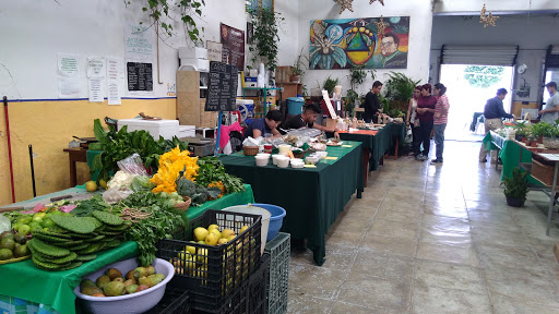 Chapingo Organic Market - Thumbnail
