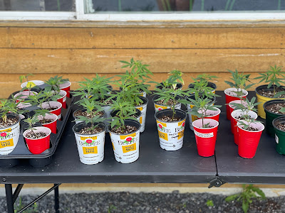 Photo of J's Dispensary