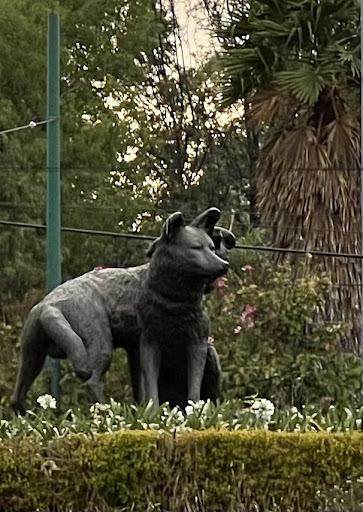 Glorieta De Los Coyotes - Thumbnail