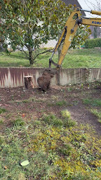 Photo n°12 de W.T. Espace vert à Plaisir (Paysagiste)
