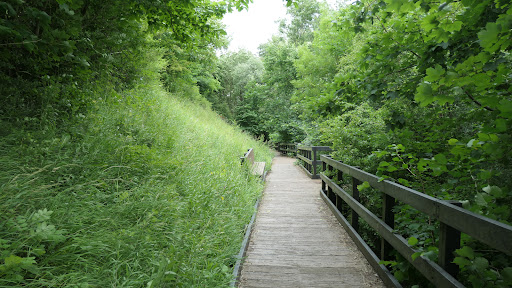 Smardale Gill Nature Reserve Parking