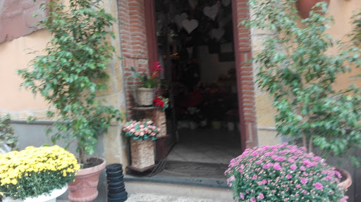Antica Fioreria Di Ciro Di Vico - Italy