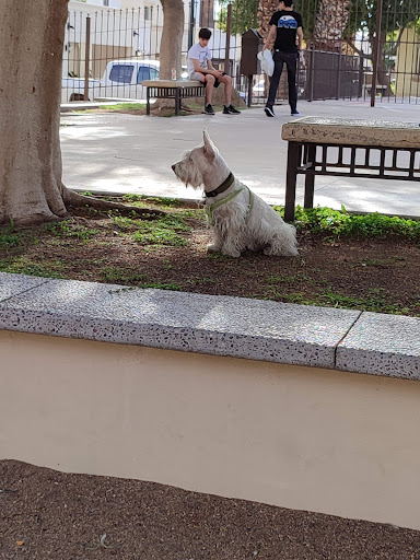 Parque Palermo - Visual