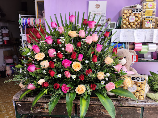 Florería Conchis 11:11