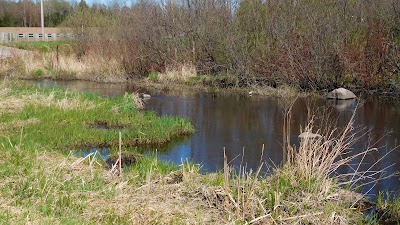 Photos of Plover River Public Fishing Grounds