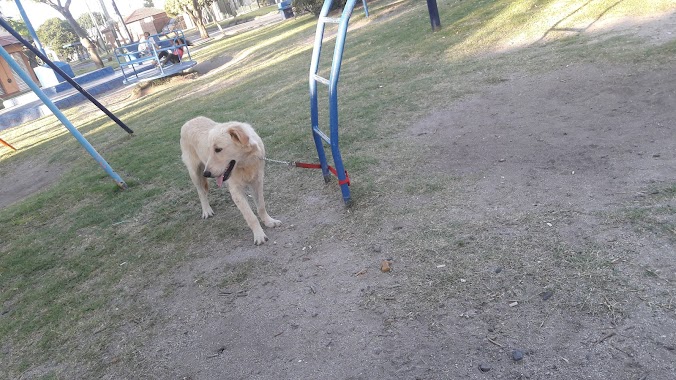 Plaza Dr. Ramil (La Perla), Author: Federico Fernandez