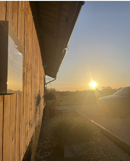 Beauty Within Skin and Wellness