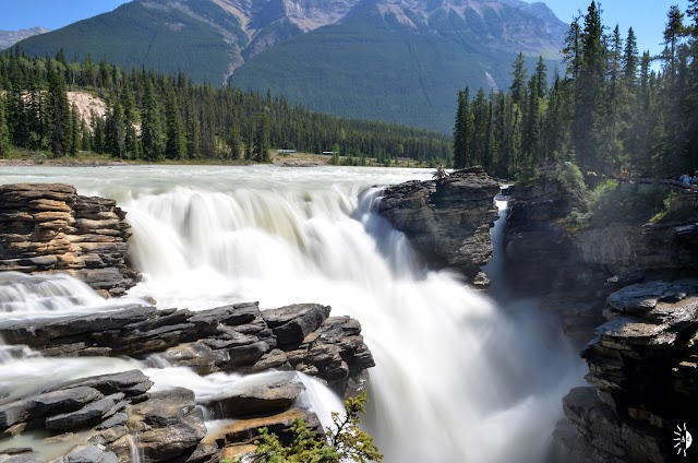 Athabasca Falls