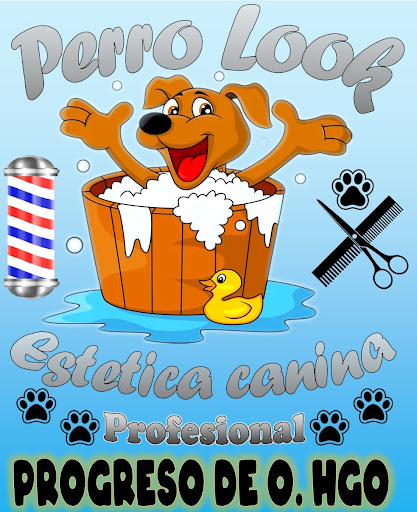 Perro Look Progreso - Visual