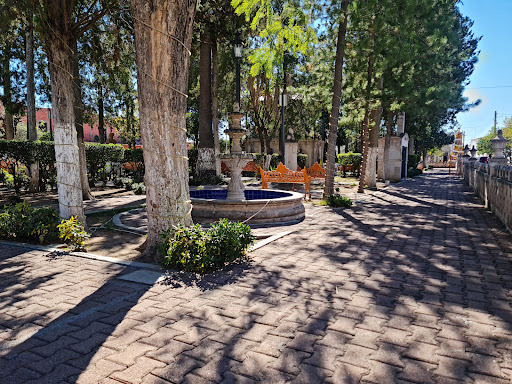 Principal Tepetongo Zacatecas Garden - Thumbnail