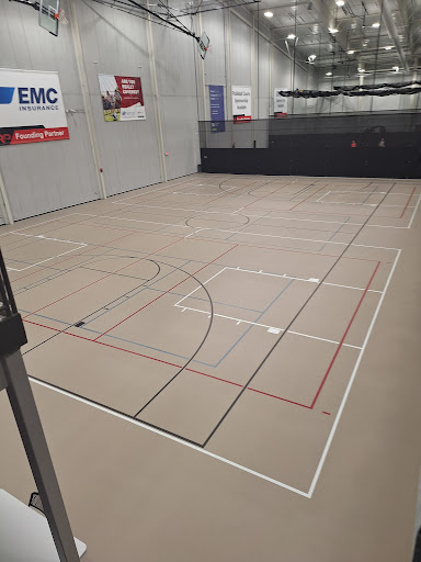 RecPlex - Visual
