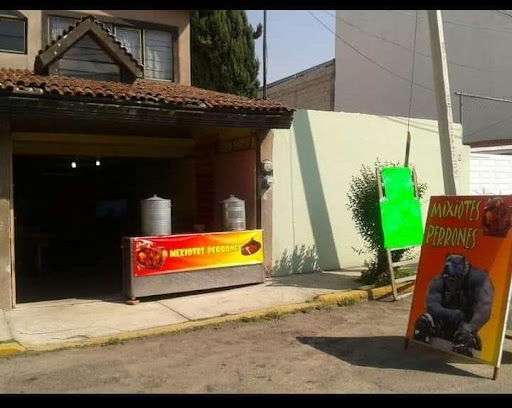 PUBLYCEO.COM MIXIOTEZ PERRONES DE PUEBLA LOS MEJORES