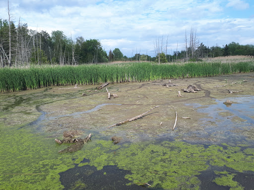 Bear Creek Eco Park - Thumbnail