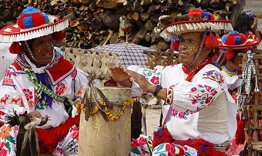 Centro Indígena Huichol - Thumbnail