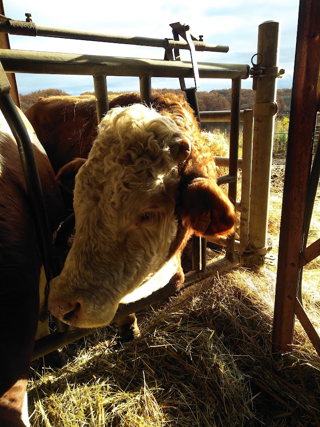 La ferme du Pelosset