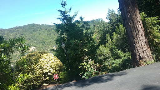 Blithedale Summit Trailhead - Thumbnail
