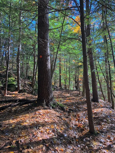 Bears Den Natural Area