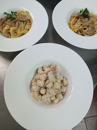 CentOlivi - Visual