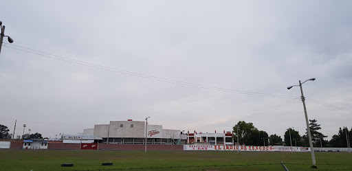 Semillas Zaragoza - Thumbnail