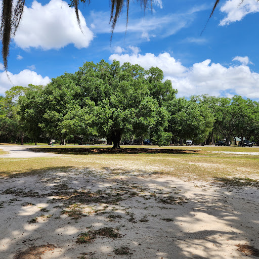 Medard Park/ Hillsborough County Parks - Thumbnail