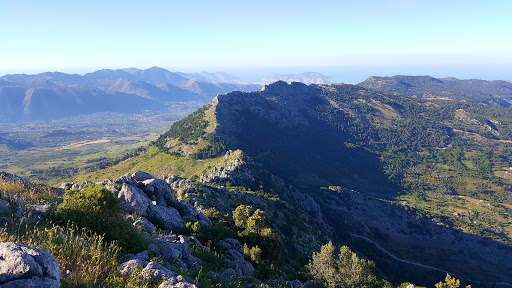 La Pizzuta - Visual