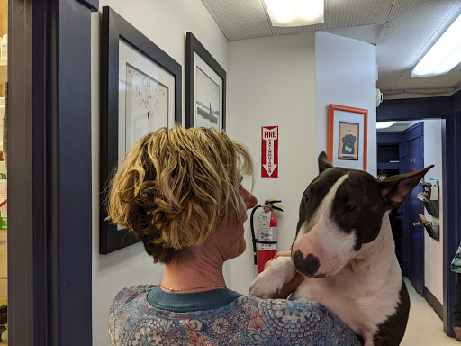 Viking Community Animal Hospital - Thumbnail
