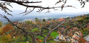 Photo n°4 de ELAGAGE-ABATTAGE74 à Douvaine (Arboriste)