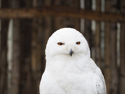 Photos of Cottbus Zoo