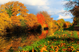 Photo n°2 de Serge OBRECHT Masseur Kinésithérapeute Rééducateur à Muntzenheim (Centre de rééducation)